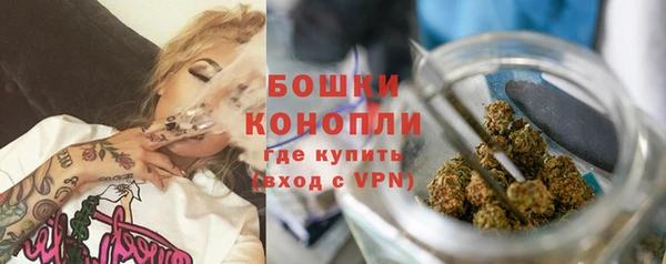 сатива Бородино