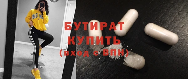 сатива Бородино