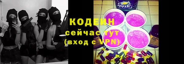 сатива Бородино