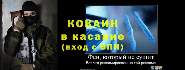 сатива Бородино