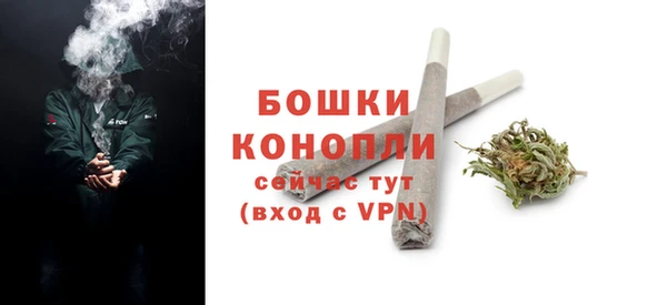 сатива Бородино