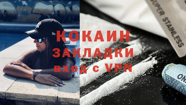 сатива Бородино