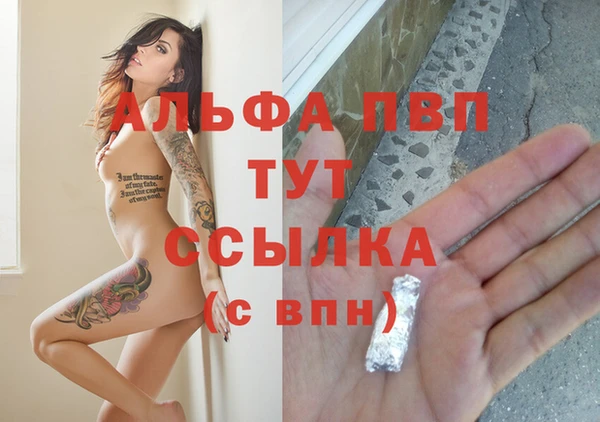 сатива Бородино