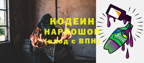 сатива Бородино