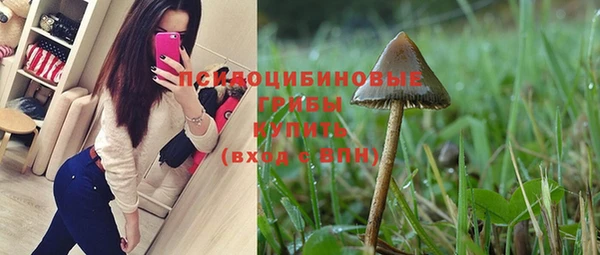 эйфоретик Бронницы