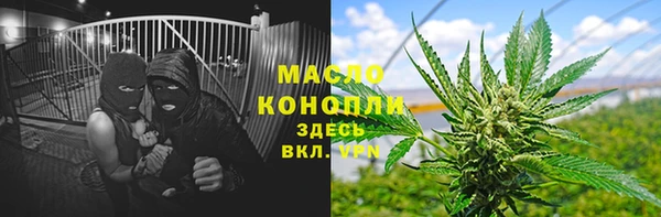 сатива Бородино