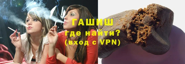 сатива Бородино